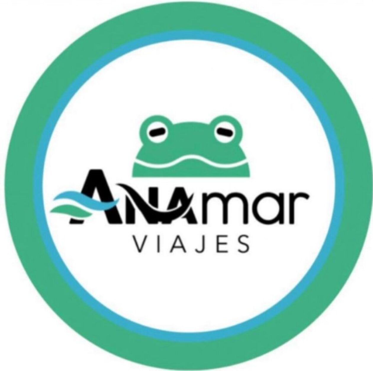 viajesanamar logo